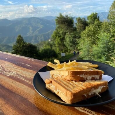 CHEESE GRILLED SANDWICH₹250